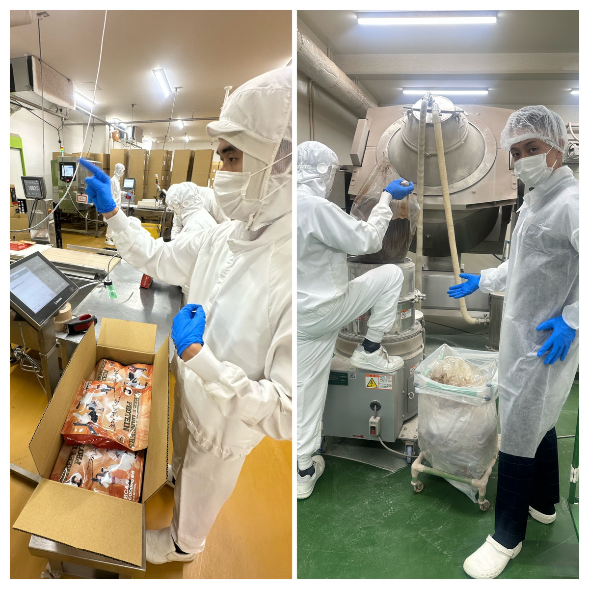 プロテイン事業への取り組み 11